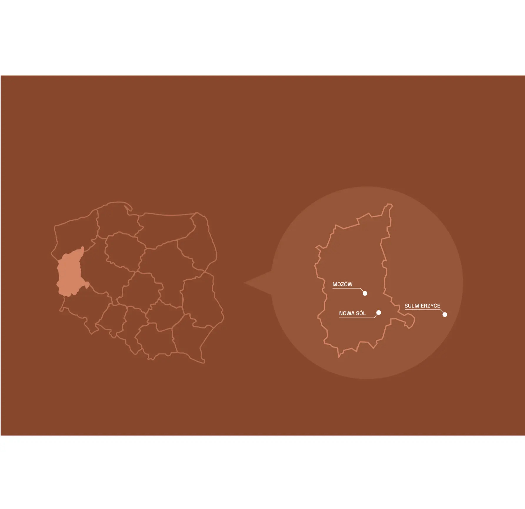 LOCATION OF COPPER DEPOSITS IN THE LUBUSKIE AND GREATER POLAND PROVINCES / POLAND